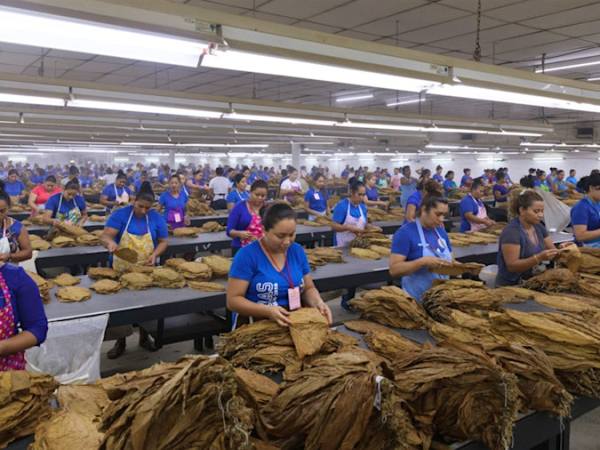 The Human Cost Behind the Allied&nbsp;Collapse